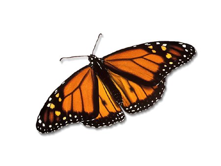 general motors death watch 71 the butterfly effect