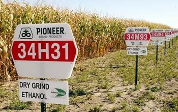 Ethanol Production May Increase Greenhouse Gases