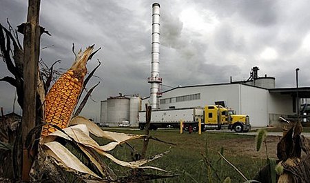 federal ethanol regs could kill industry
