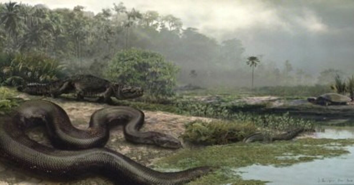 Car Eating Snake Revealed. In Theory. | The Truth About Cars