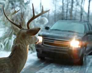 Oh Deer: BAIC Walks From Opel, Saab and Volvo Deals