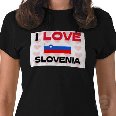 renault slovenia sucks money