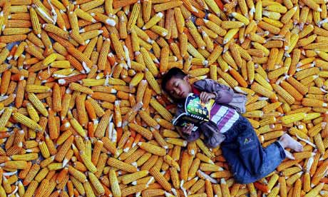 China Decides: We'll Eat The Corn, We Won't Drive It