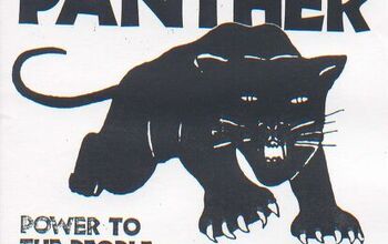 Ask The Best And Brightest: Panther Love For Beginners?