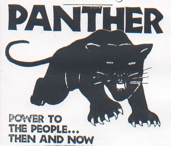 ask the best and brightest panther love for beginners
