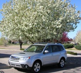 piston slap seeing the forester for the trees