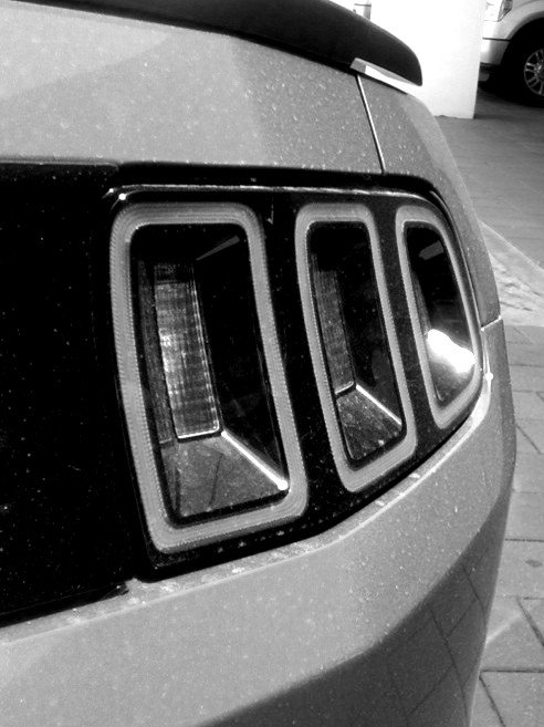 Vellum Venom: 2013 Ford Mustang