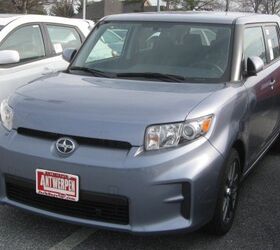 why scion matters