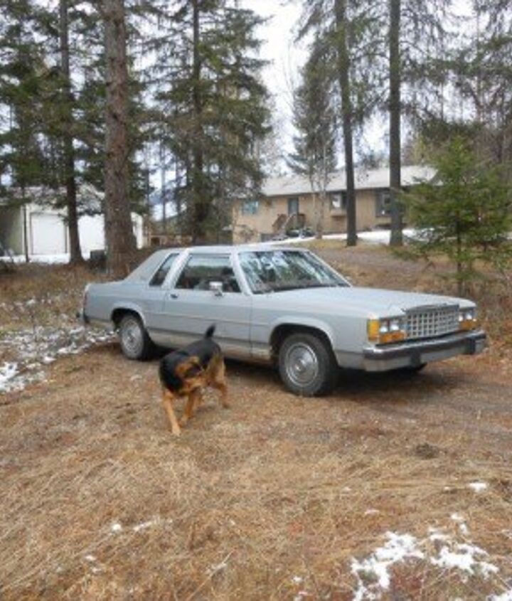 Hammer Time The Rise And The Fall Of The Panthers The Truth About Cars