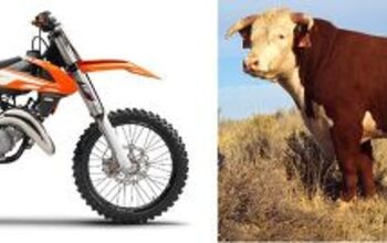 Beef Duty May Join Chicken Tax in the Barnyard, Would Raise Price of Euro Scooters and Motos 100 Percent