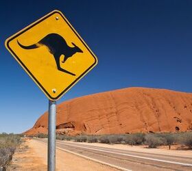Defiant Kangaroos Stand Firmly in Path of Soulless, Self-Driving Future