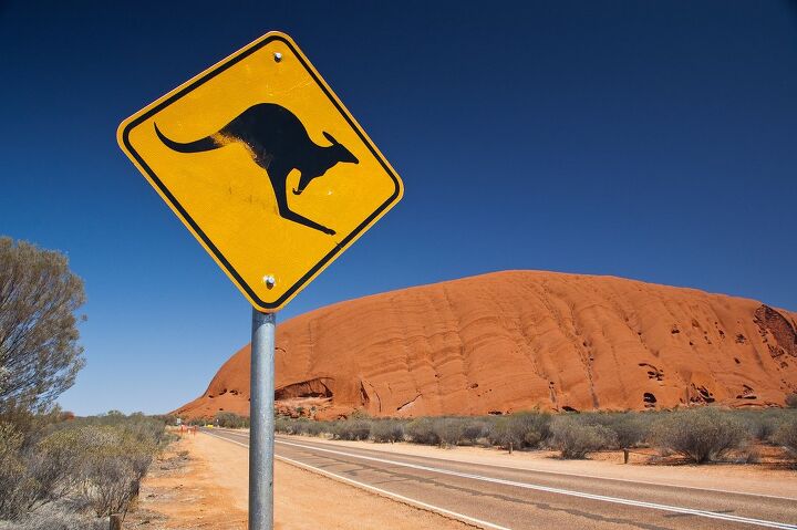Defiant Kangaroos Stand Firmly in Path of Soulless, Self-Driving Future