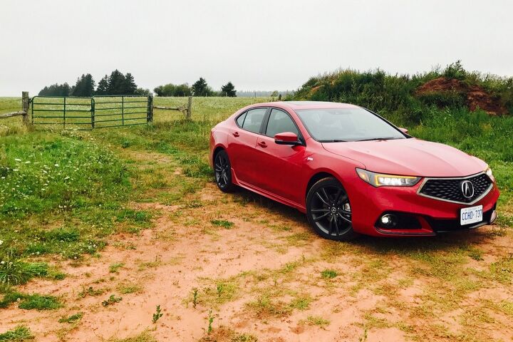 2018 Acura TLX V6 SH-AWD A-Spec Review - Pachyderms Promulgate Particular Problems