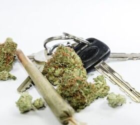 IIHS Claims Marijuana Legalization Causes Crashes