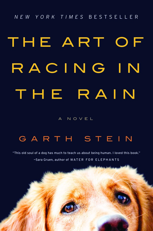 racing dogma an interview with garth stein author of the art of racing in the