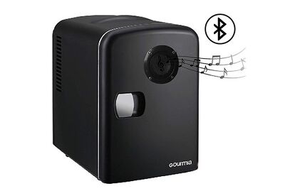Editor’s Pick: Gourmia Thermoelectric Mini Fridge with Bluetooth Speaker
