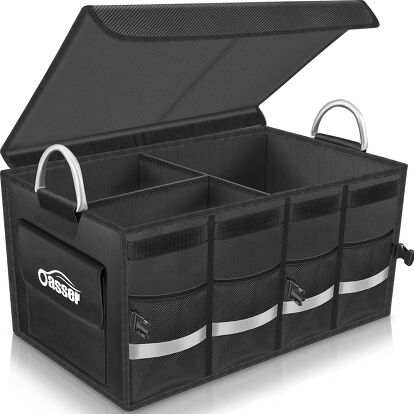 Editor’s Pick: Oasser Trunk Organizer
