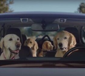 Subaru Believes Dog-focused Advertising Has Been a Large Part of Its Success