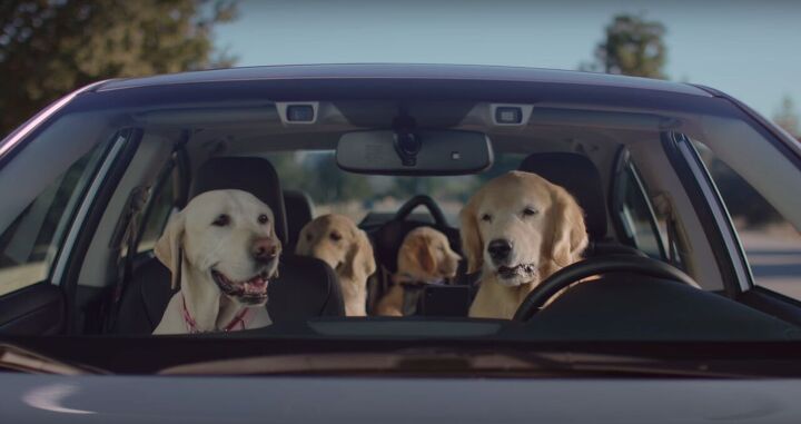 subaru believes dog focused advertising has been a large part of its success