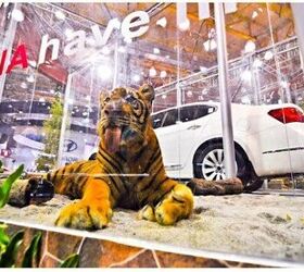 Vellum Venom Vignette: Kia's Magical Tiger Nose The Truth About Cars
