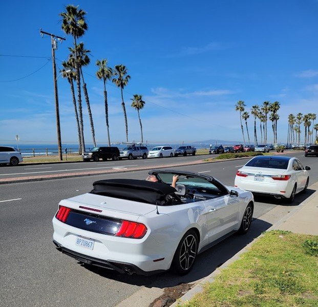 Ford Mustang EcoBoost Premium Convertible Reader Rental Review - California, Not Quite | The Truth About Cars