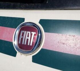 FIAT 500 Emblem Rear Hatch - Gucci