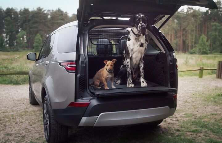 going to the dogs land rover launches new range of 8216 premium pet packs