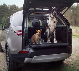 going to the dogs land rover launches new range of premium pet packs