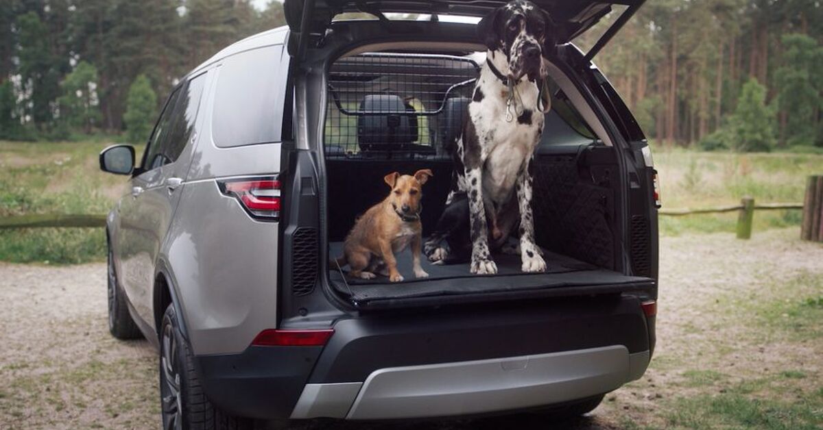 Going to the Dogs: Land Rover Launches New Range of 'Premium Pet Packs ...