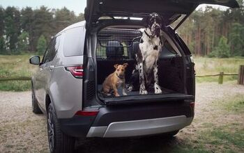 Going to the Dogs: Land Rover Launches New Range of 'Premium Pet Packs'