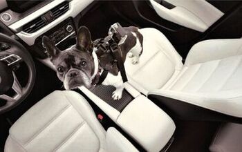 Mazda's New Ad Campaign Uses Ben Collins and a Dog to Suggest Consumers Are Idiots