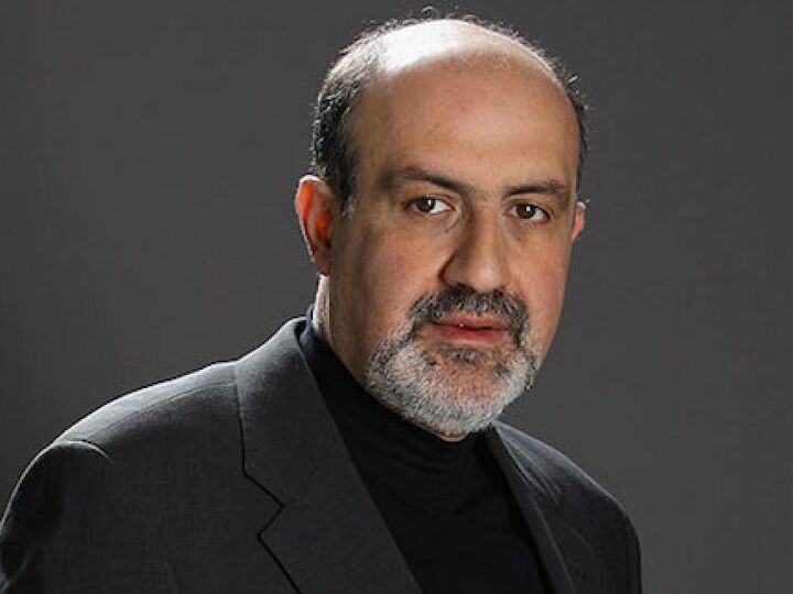 Nassim Taleb Explains How Minorities* Dictate You Purchasing a Lighted Vanity Mirror