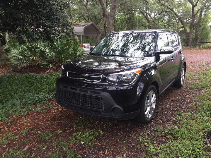 bark s bites orlando kia west is a stunning example of why people still hate car