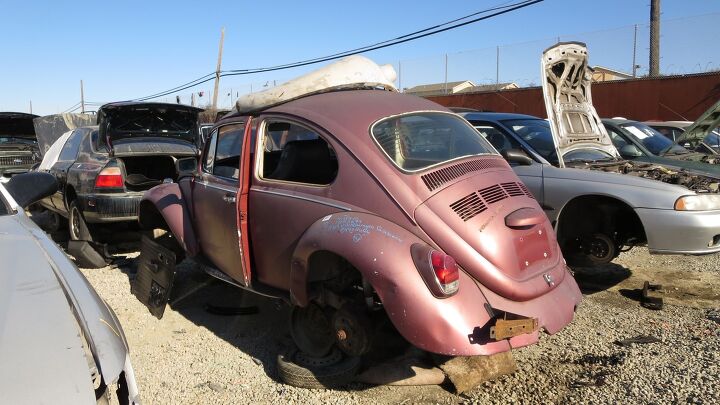 junkyard find 1969 volkswagen beetle