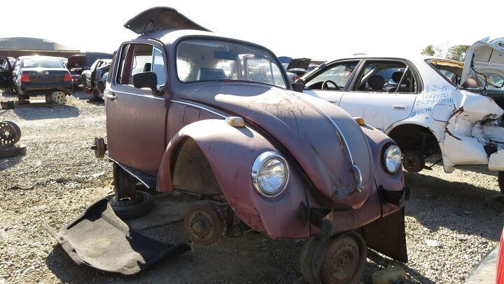 junkyard find 1969 volkswagen beetle