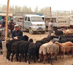 China 2015: Cars of Kashgar, Xinjiang Uyghur