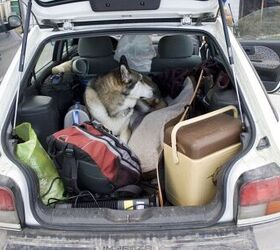 Subaru Funding Crash Tests Of Pet Carriers, Crates