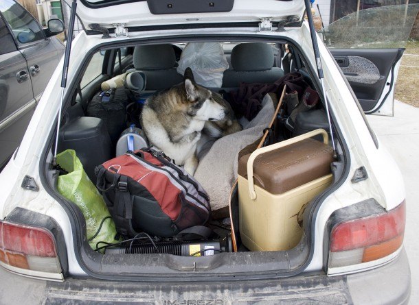 Subaru Funding Crash Tests Of Pet Carriers, Crates