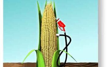 Iowa to Peddle Corn Squeezings During Pres' Primary