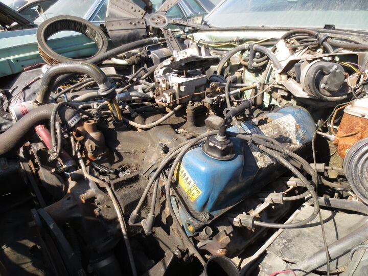 junkyard find 1979 ford thunderbird