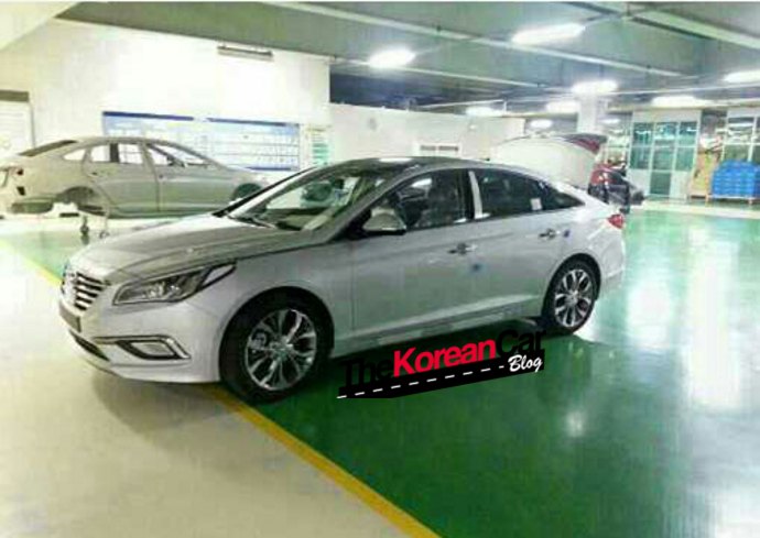 2015 Hyundai Sonata Caught Nude In Home Plant