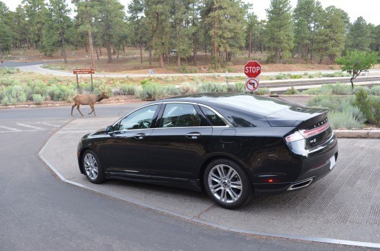 4000 miles in a lincoln mkz