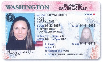 rfid enhanced driver s licenses big brother or brighter future