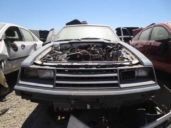 junkyard find 1979 ford mustang indy 500 pace car edition