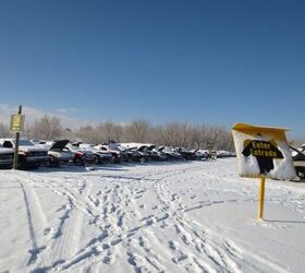 El pulpo store junkyard