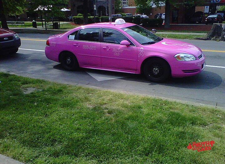 shoot the pink hunt the calamine car