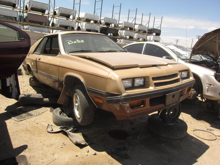 junkyard find 1984 plymouth turismo