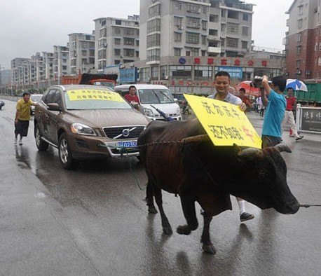 Chinese Customer Calls Bull On Car