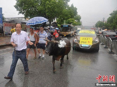 chinese customer calls bull on car