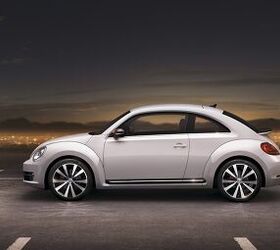 What's Wrong With This Picture: And The Beetle Goes On Edition